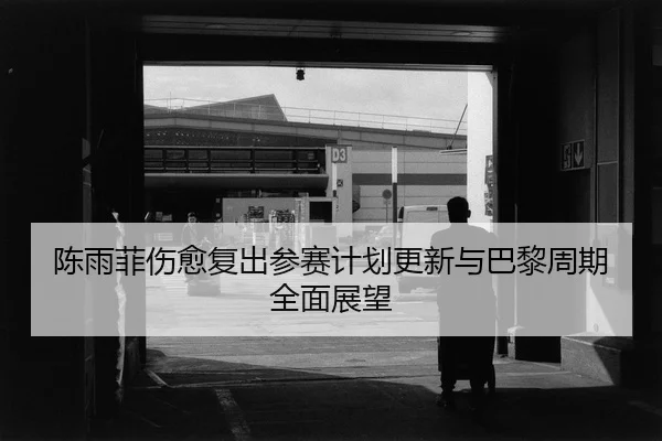 陈雨菲伤愈复出参赛计划更新与巴黎周期全面展望
